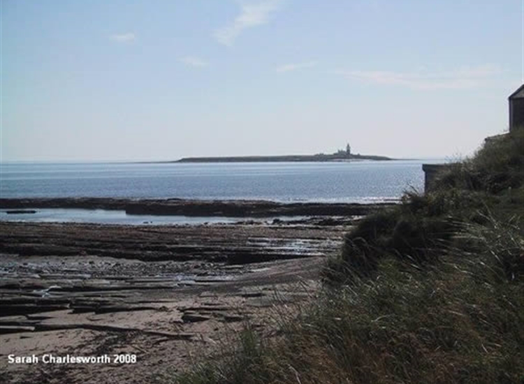 2.Coquet Island from the shore