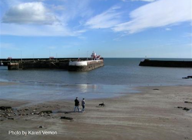 Arbroath. taken from the vicinity of the Signal Tower