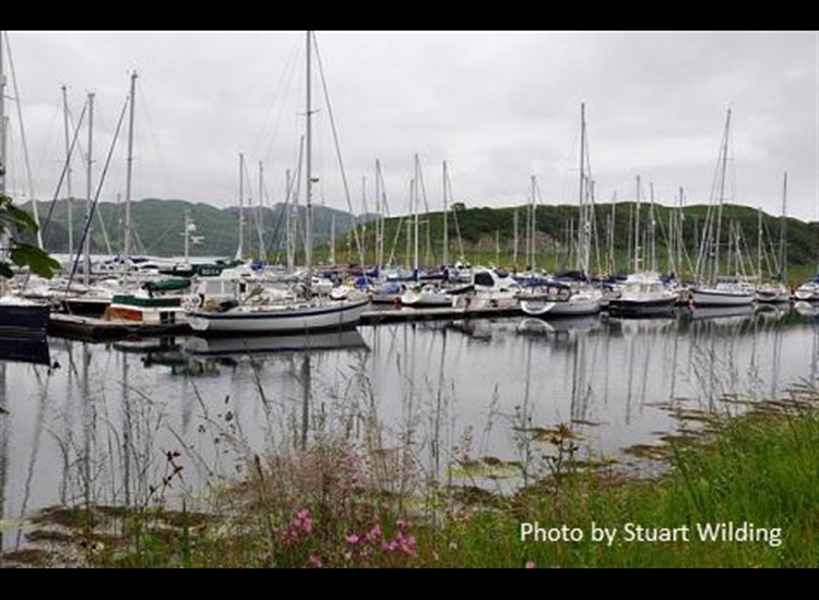 Ardfern Marina from the shore looking South
