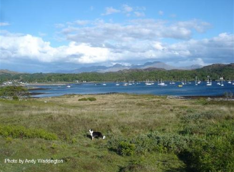Looking SE over the Arisaig moorings