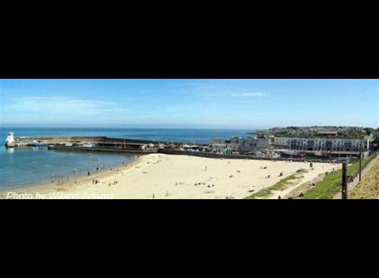 Balbriggan Harbour from the railway station