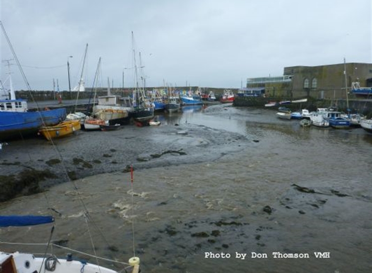 Looking along harbour at low water