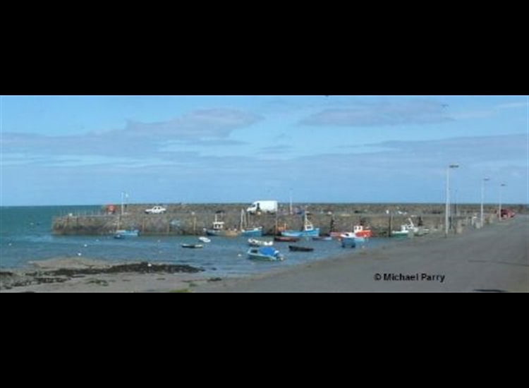 Ballywalter Harbour from the shore