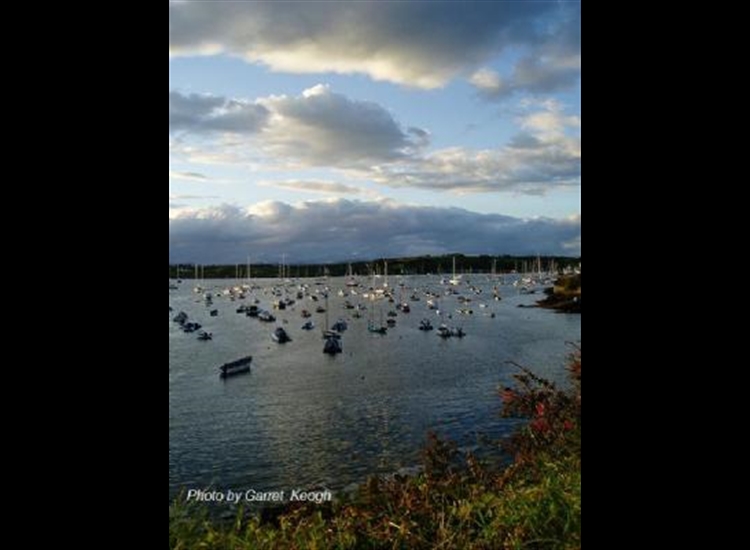 Baltimore. The Cove (Summer evening)