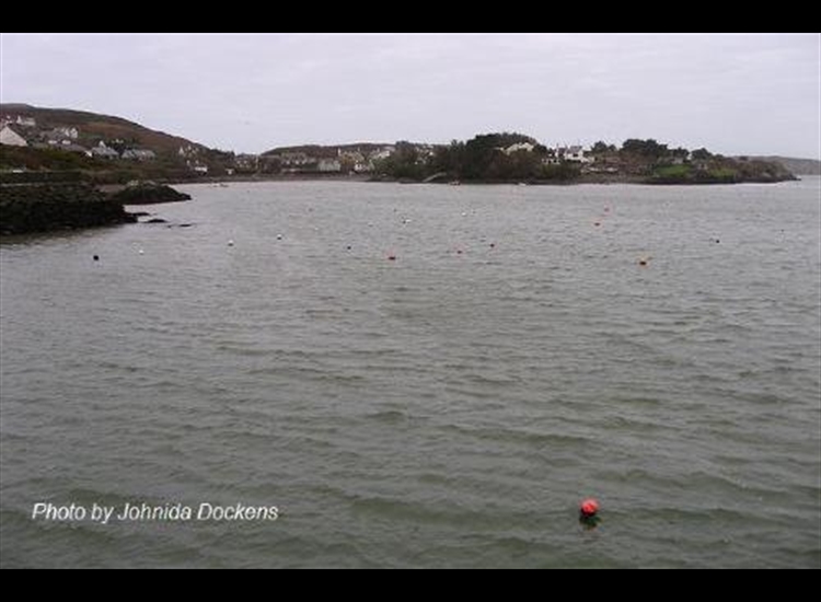 Baltimore. The Cove (winter)