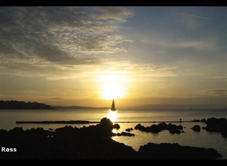 Yacht on Belfast Lough