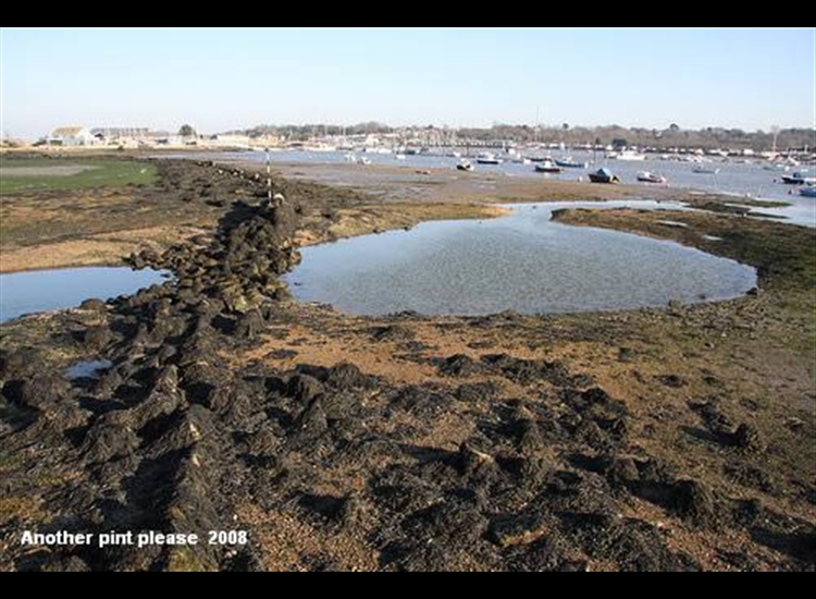 5.Looking over Harbour from the causeway