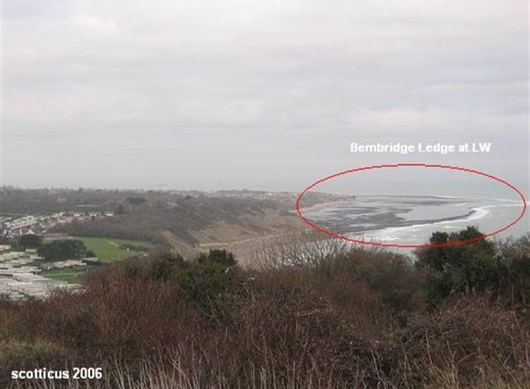 Bembridge Ledges from Whitecliff Bay