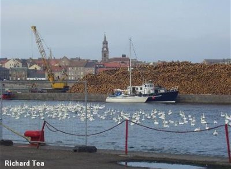 In The Docks, Berwick on Tweed