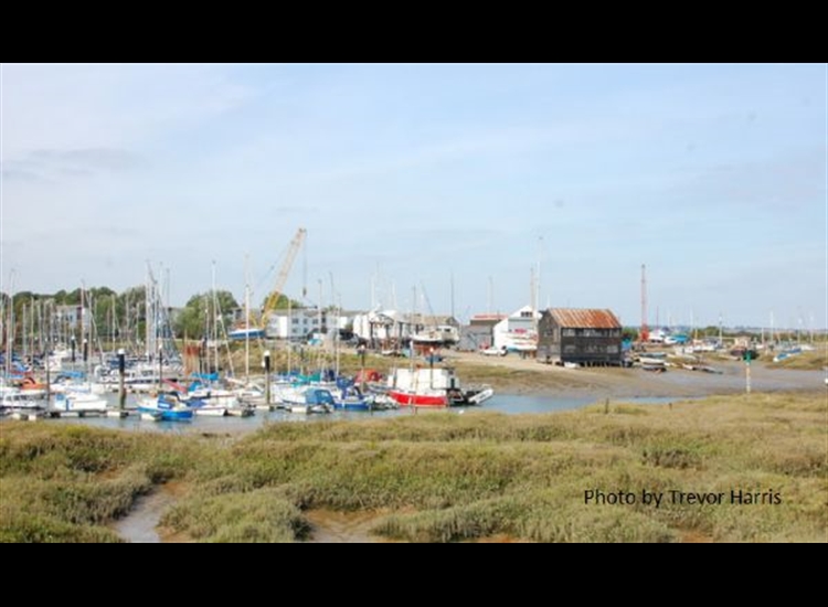 Tollesbury Marina from the East