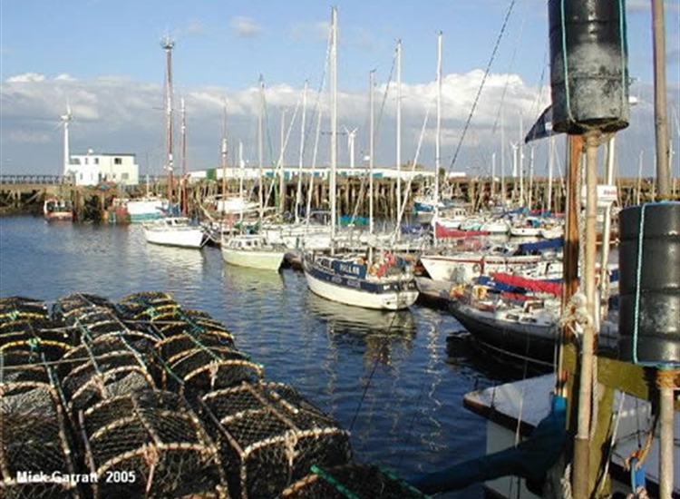 Blyth Marina 1