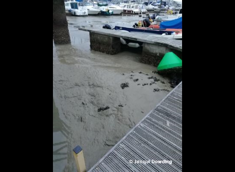 Brighton spring 2019