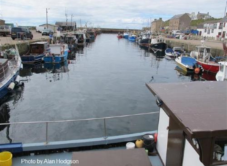 Burghead full! Must be the weekend