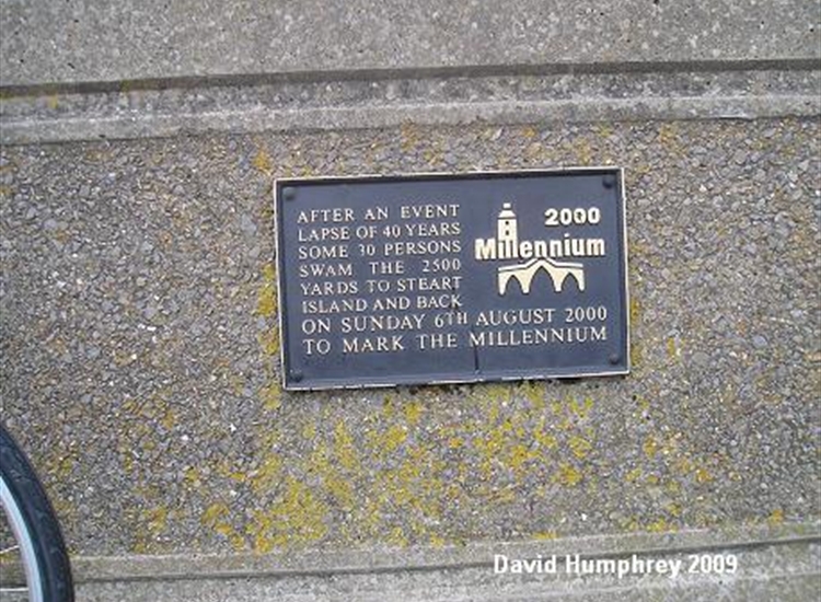 Anyone for a swim ..