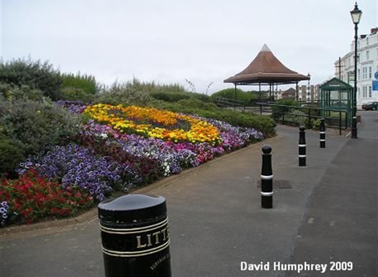 Burnham in bloom