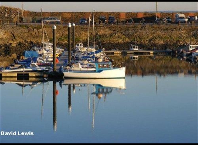 Tranquil in the Marina