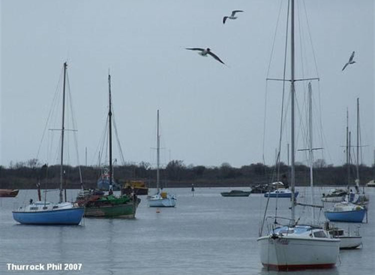 Moorings near Two Tree Island 2
