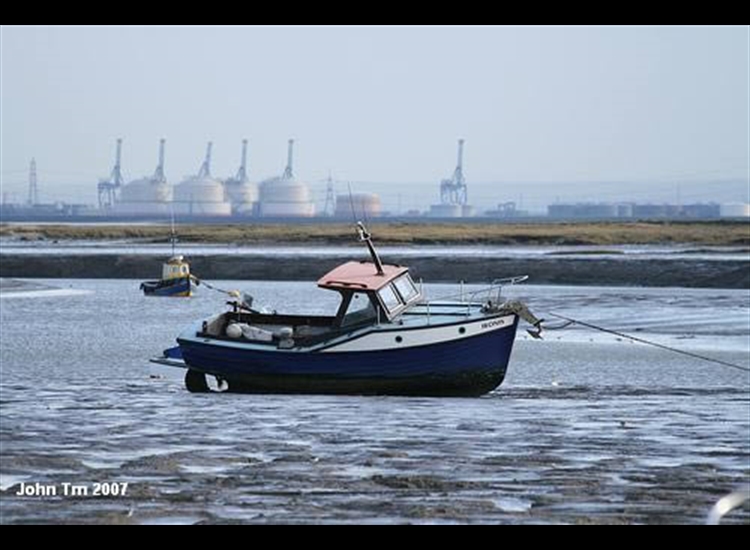 Moorings near Two Tree Island