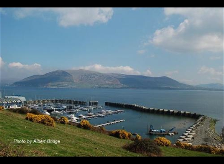 Carlingford Marina with Rostrevor & Slievemartin on far shore