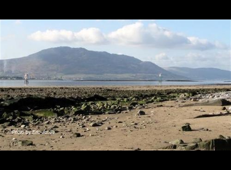 Lead in Lights from the shore