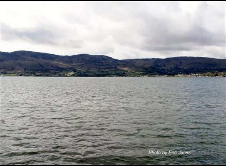 Warrenpoint from Rostrevor