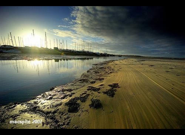 Sparkes Yacht Harbour, Tide Out