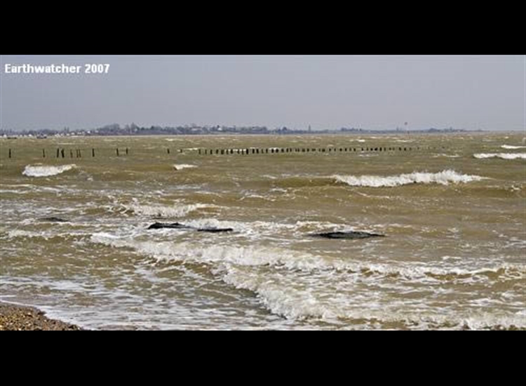Stiff Easterly, From S side Mersea Island looking towards mouth of Colne