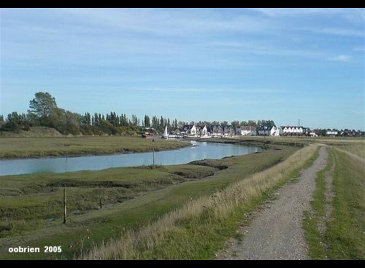 Conyer Creek looking towards facilities
