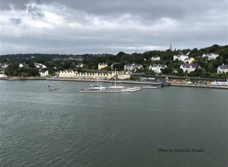 Cove Pontoon from the SE