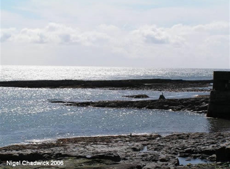 Looking out of the Harbour at Great Carr