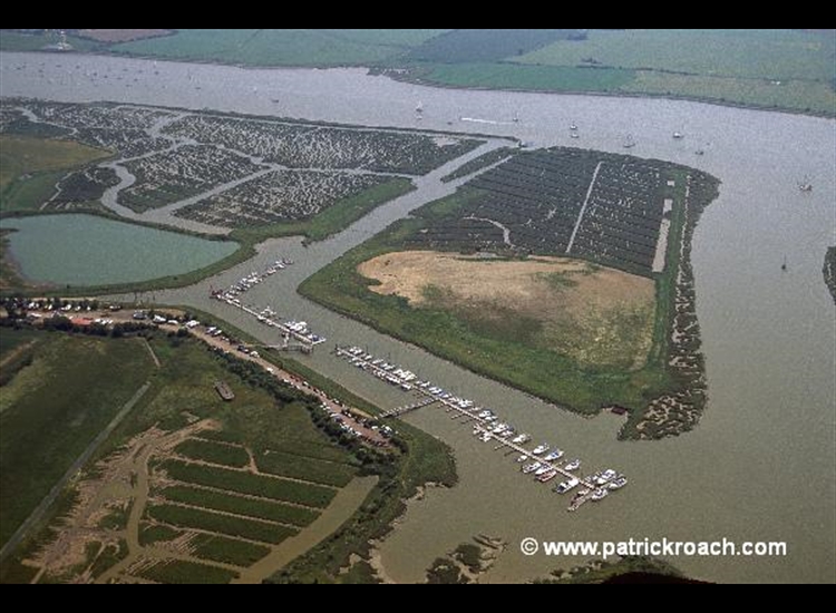 West Wick looking SE