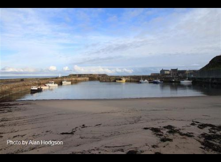 Cullen inner harbour from beach
