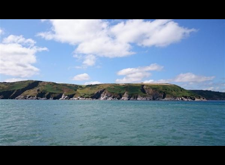 Cliffs between St Marys Cove and Dartmouth nearing Mewstone