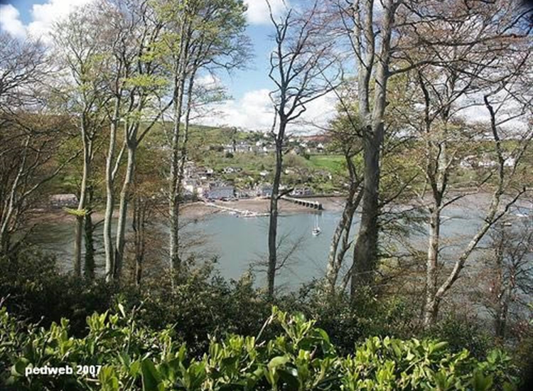 Looking over to Dittisham