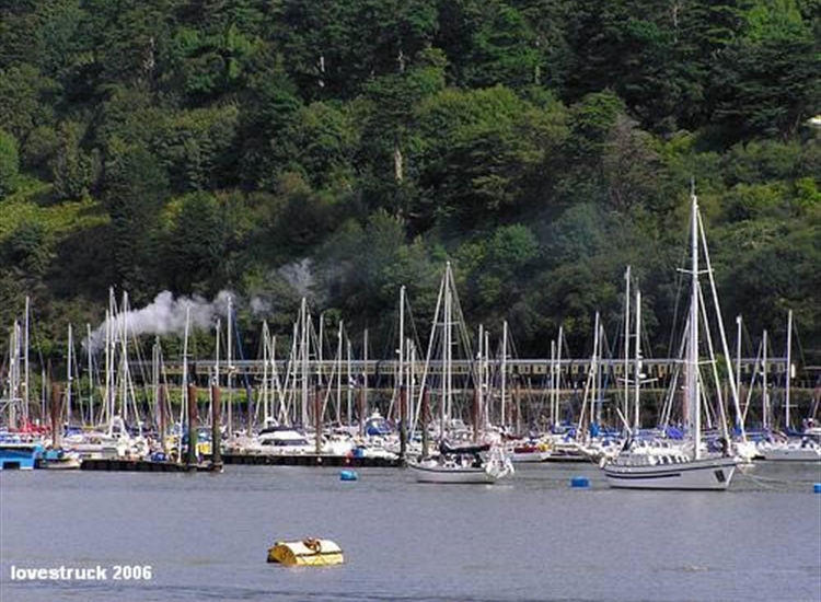 Moorings on the Kingswear side..note BLUE visitors buoys