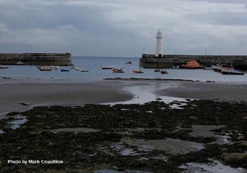 Donaghadee Harbour & Copelands Marina