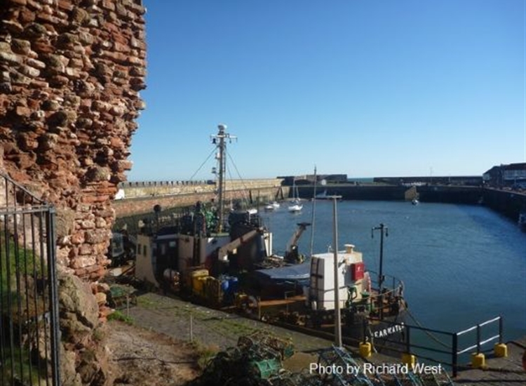 Dunbar Harbour looking East. As dredger in position Visitors went on far left wall that year