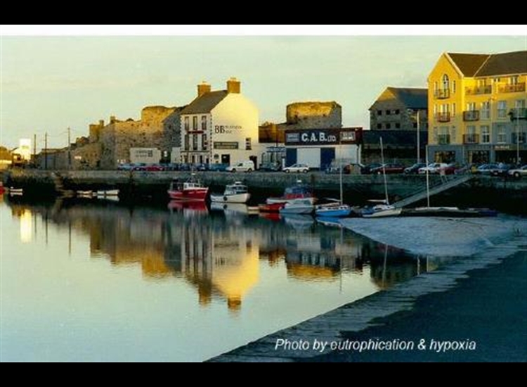 Dungarvan SC pontoon at low water