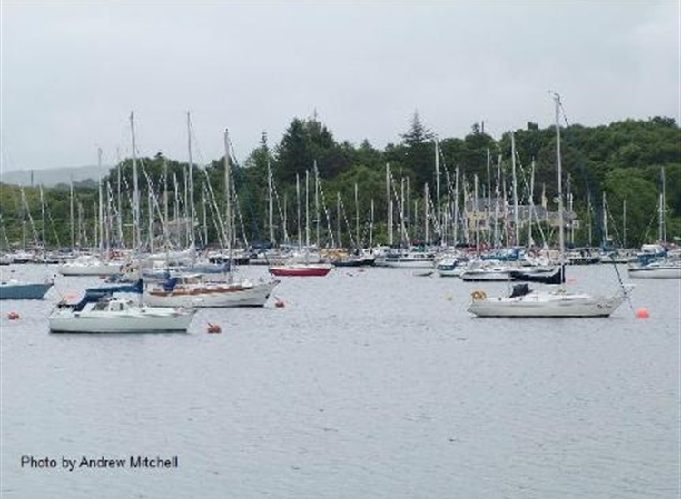 Looking through the trots owards the marina, crowded