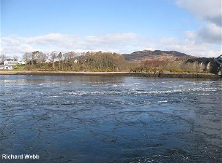 Tide Race Loch Etive entrance