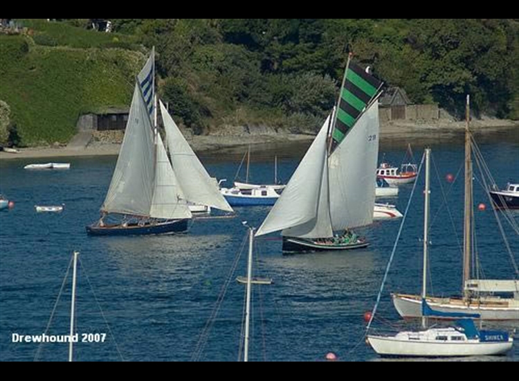 Falmouth Oyster Dredgers Racing
