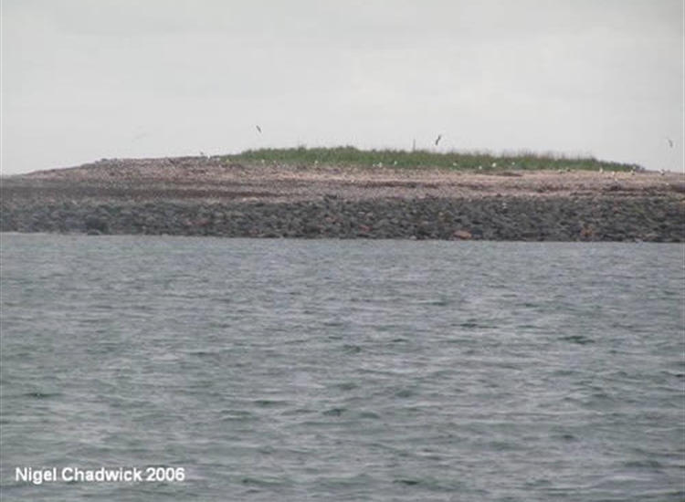 Knocks Reef, Farne Islands