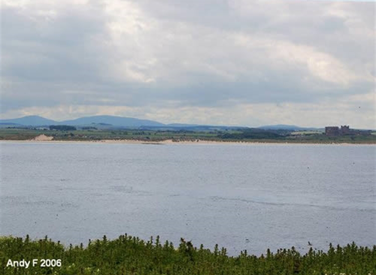 Looking across to the mainland from Inner Farne Island