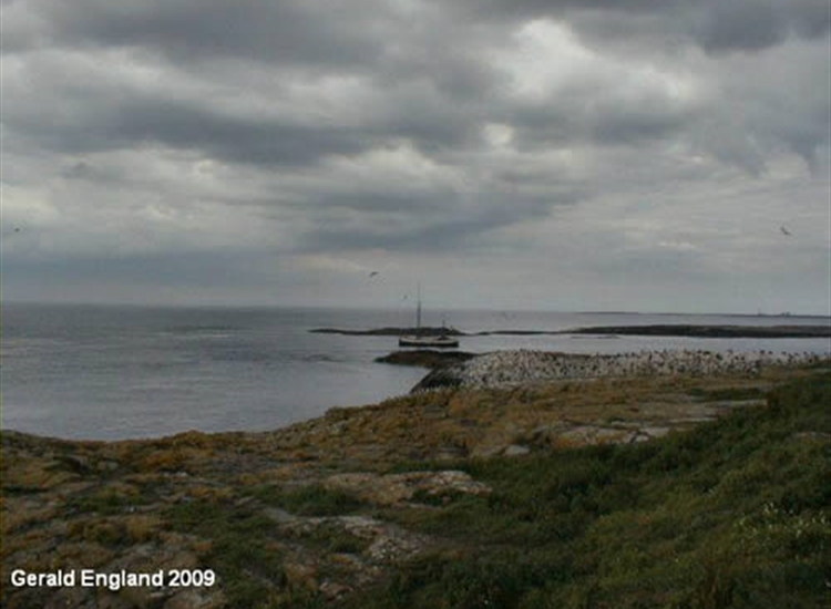 The Kettle Anchorage, Farne Islands