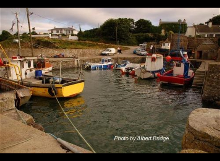 Fethard Harbour at HW