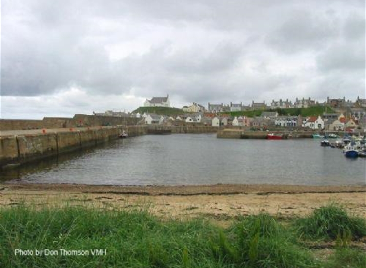 Findochty. Looking across harbour from the West beach