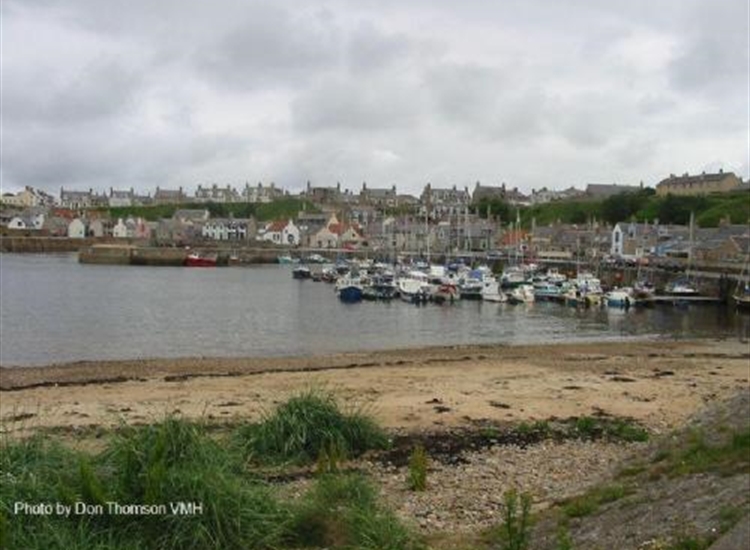 Findochty. Pontoons in inner harbour