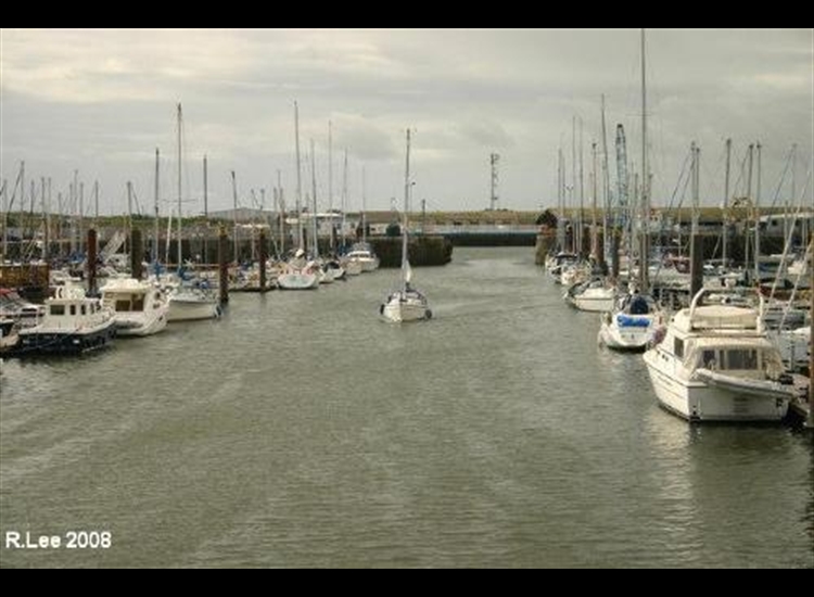 On the Move within Marina