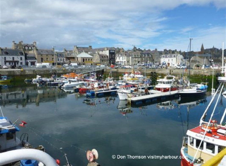New Pontoon with one yacht on Hammerhead