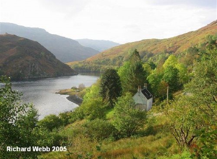 Loch Long, Narrow part of the loch at Allt-nan-subh, looking southwards.
